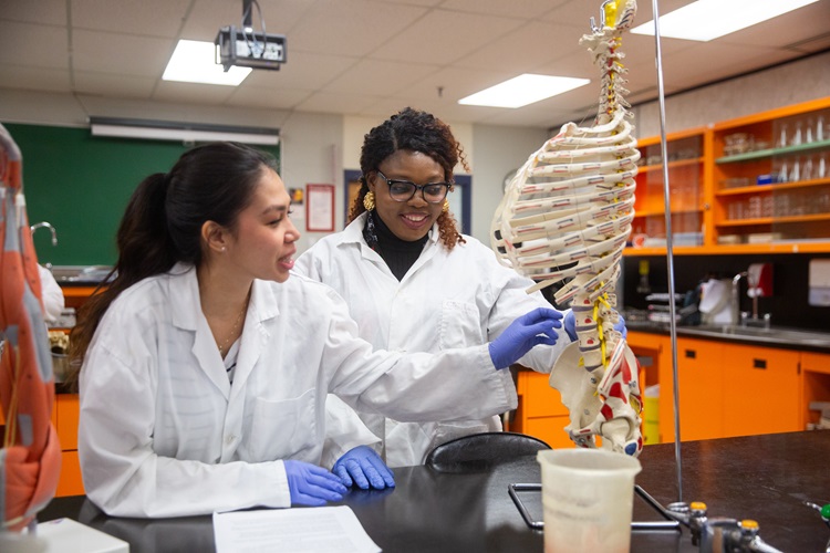 Biology students examining a skeleton