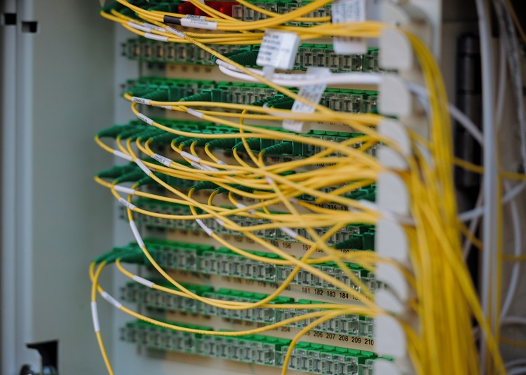 Network Renewal