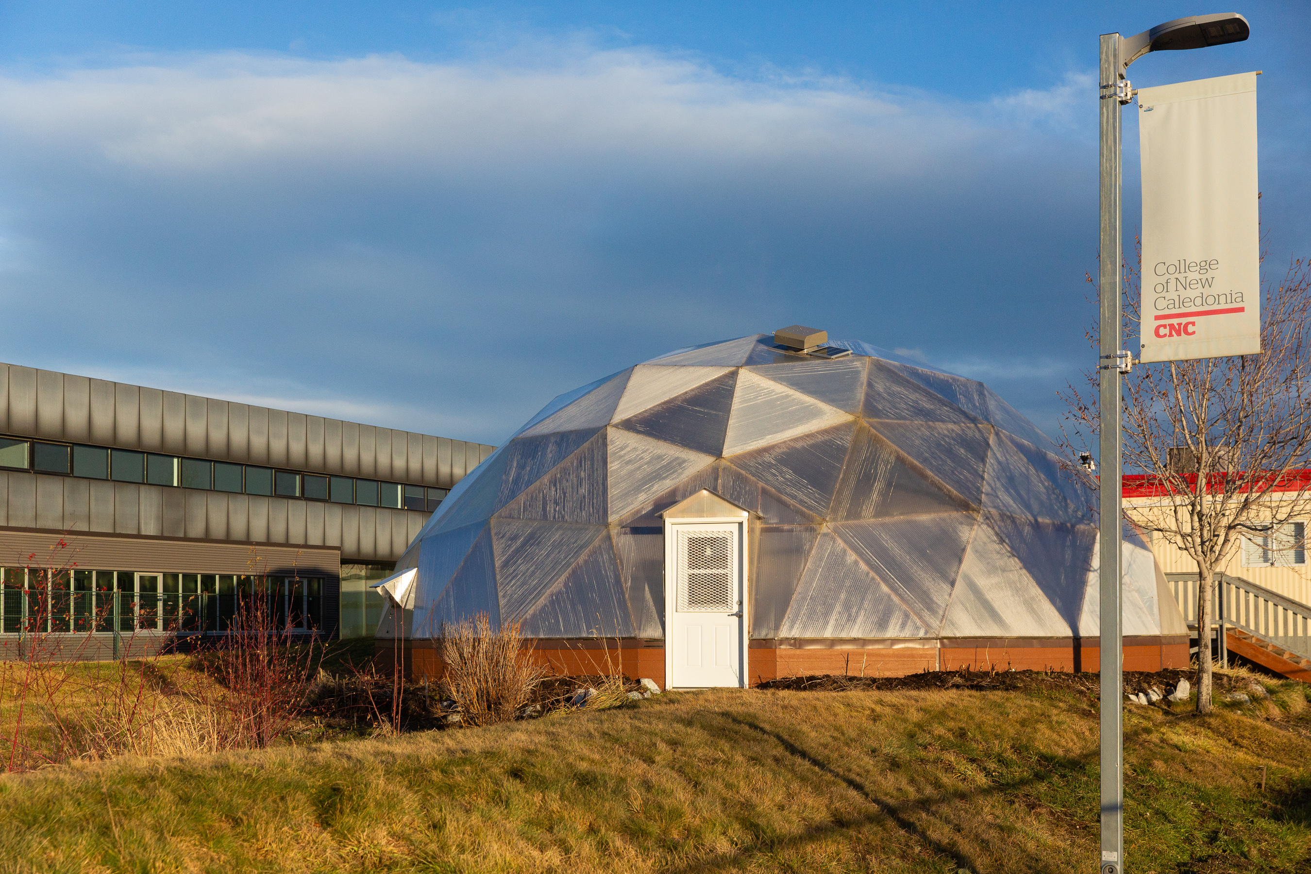 Green house dome