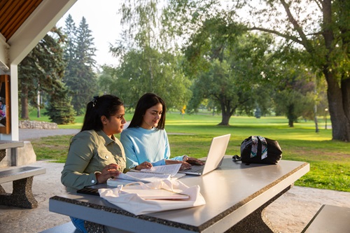 Students studying on a park bench