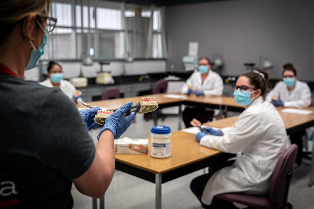Dental Instructor Showing Students Model