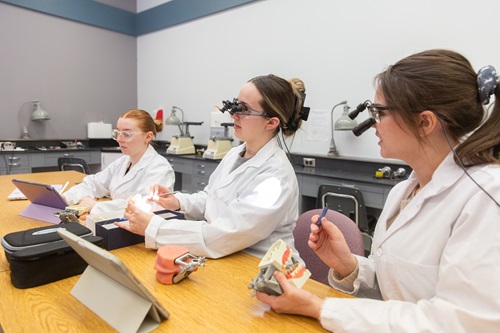 Dental hygiene students examining teeth