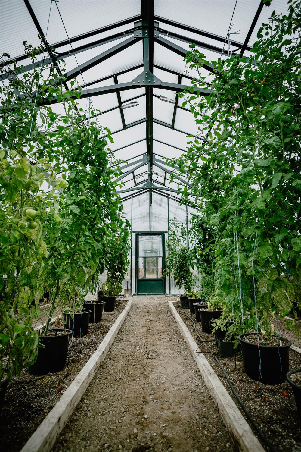 Greenhouse Quesnel 2