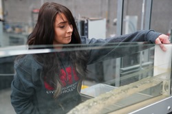 Michelle_Lindemann_CET_02 Michelle Lindemann - CNC Civil Engineering Student
