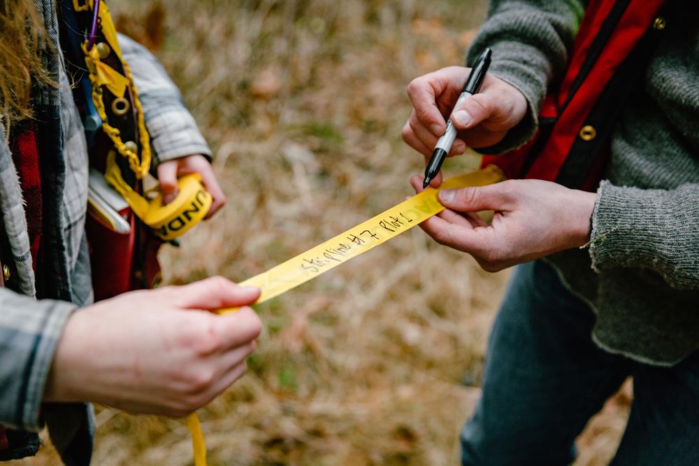 CNC Research Forest legacy fund supporting two projects