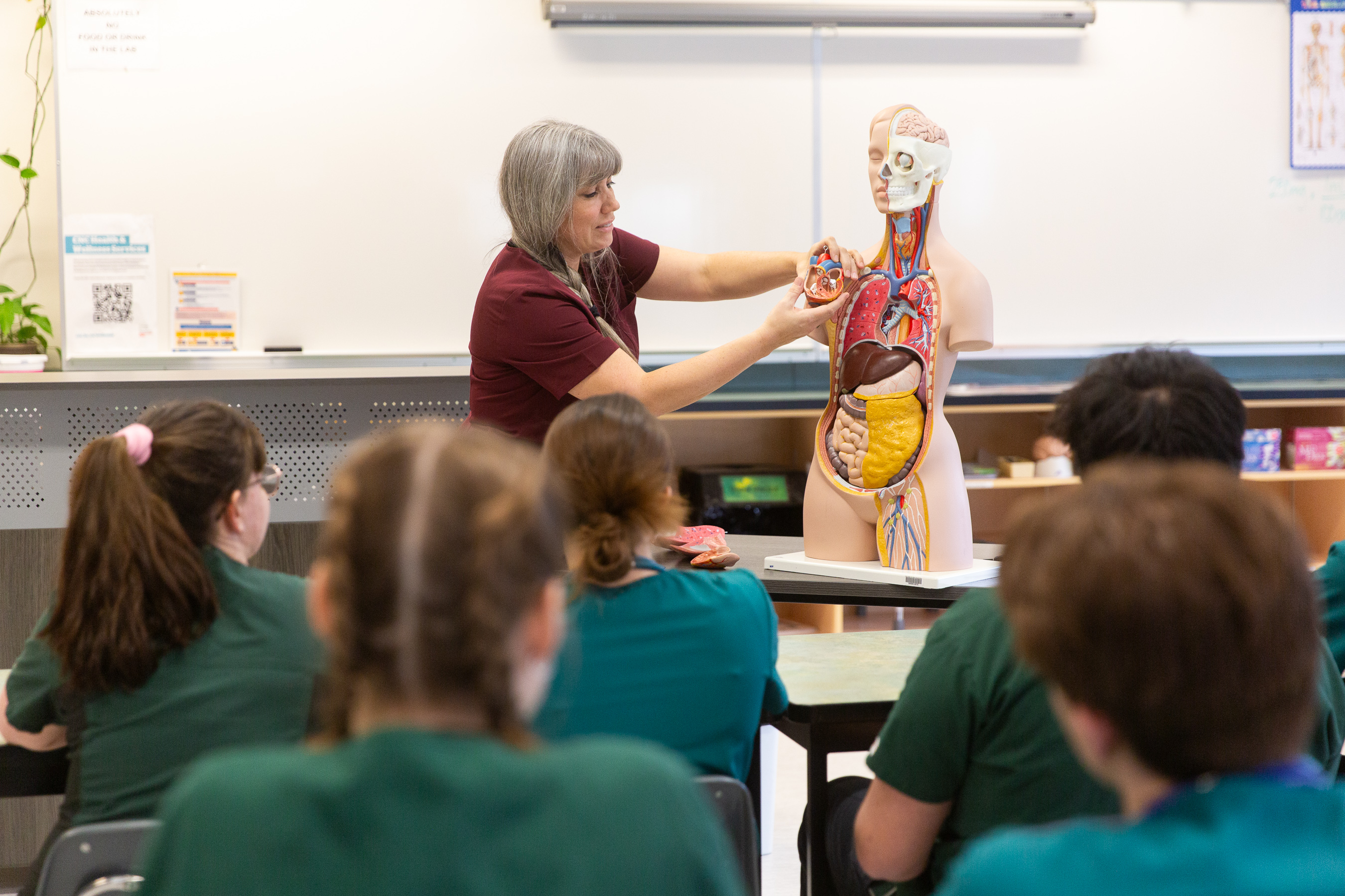 Nursing students learning about anatomy