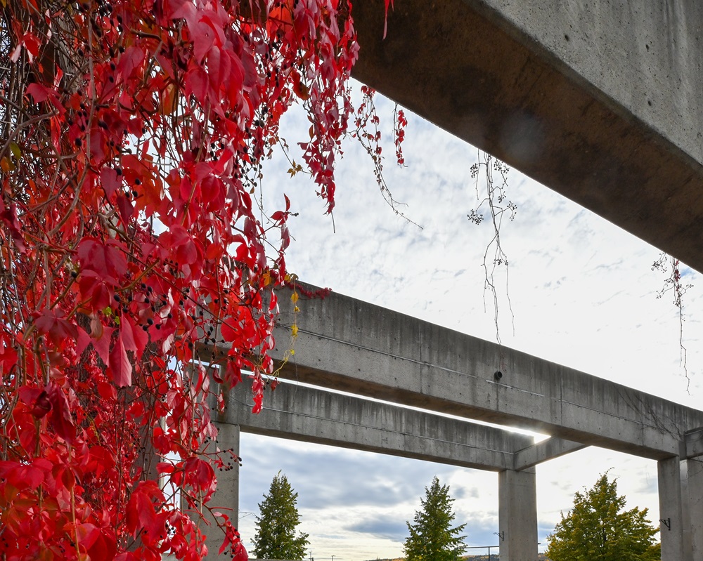 PG Campus Courtyard Theatre Looking Up