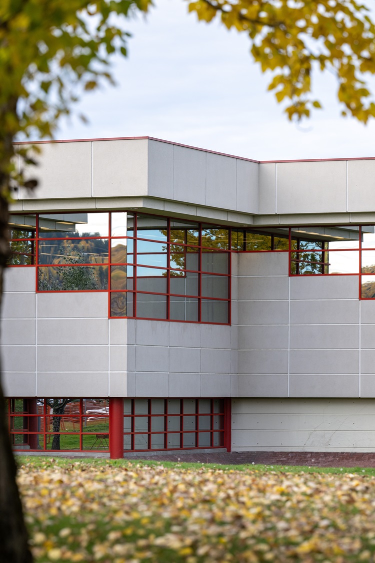 PG Campus Outside Library from Under a Tree Portrait