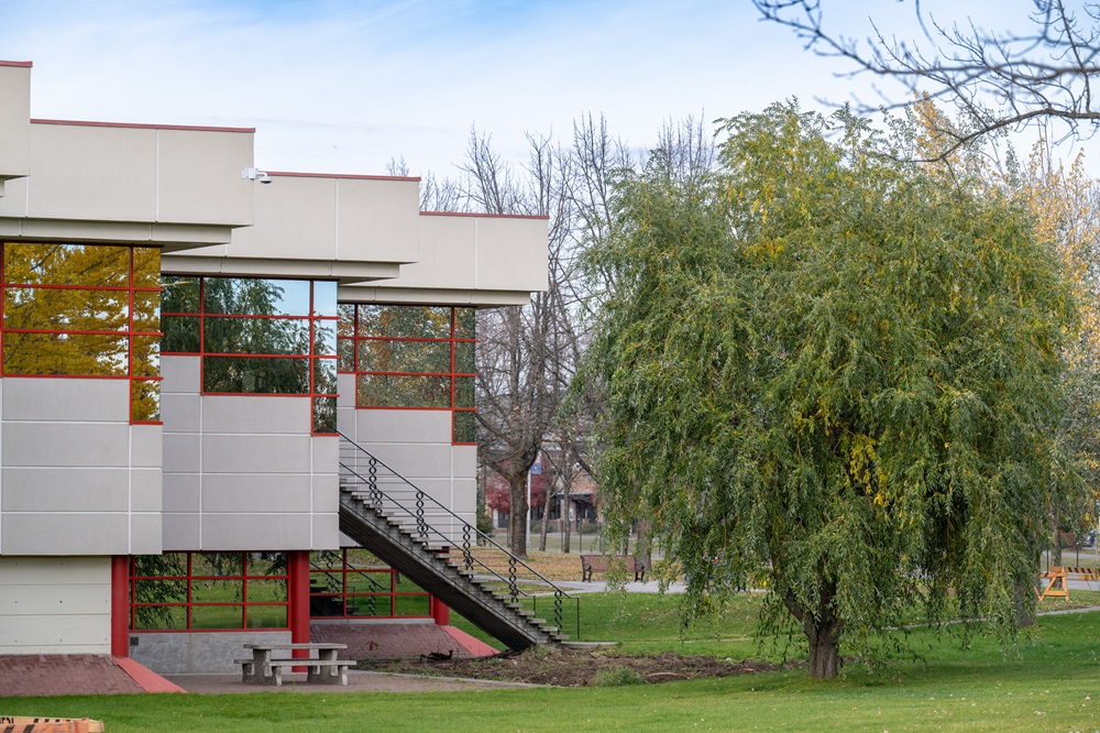 PG Campus Side Staircase and Picnic Table Wide