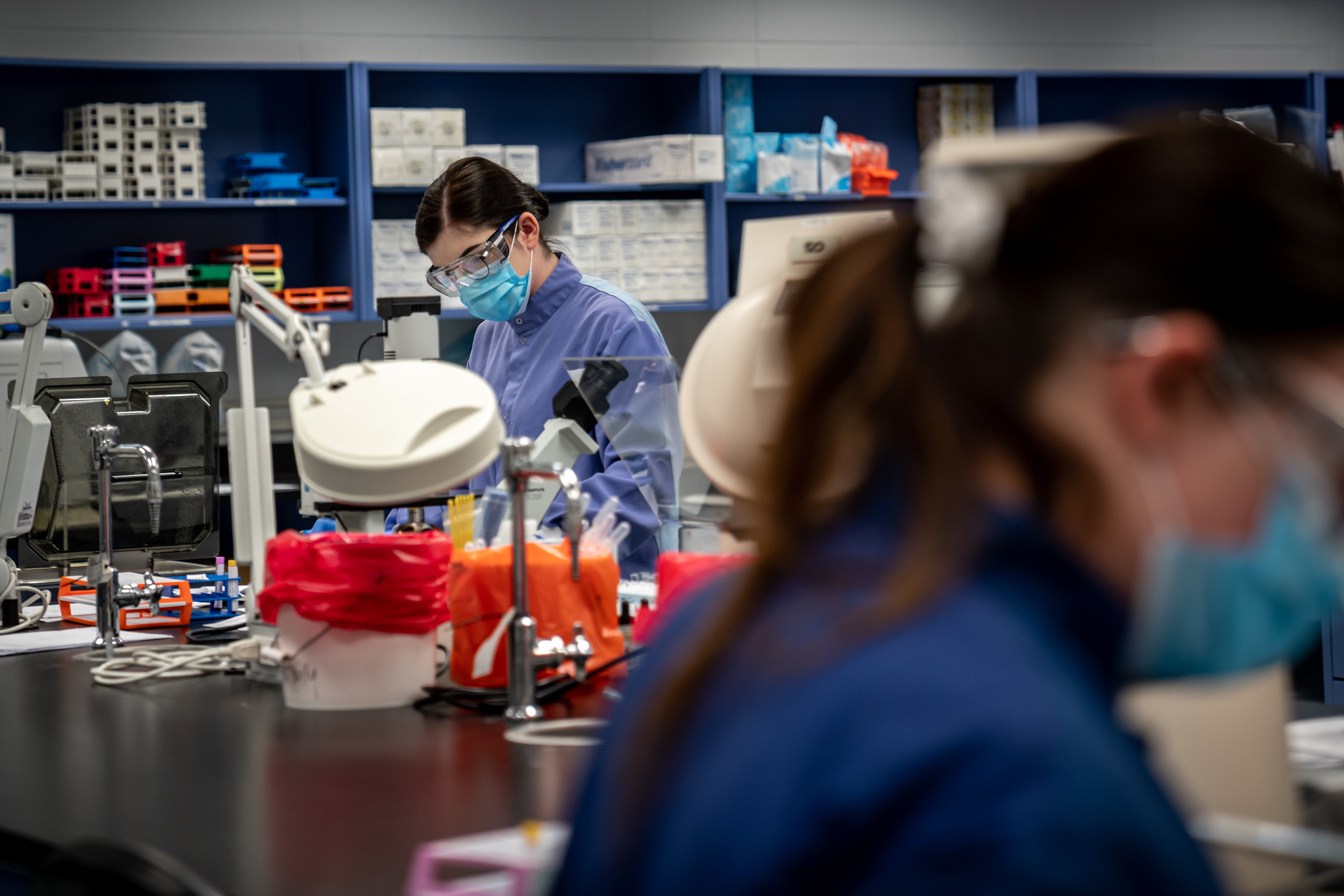Students working in Medical Lab