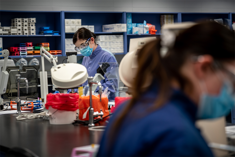 Students working in Medical Lab