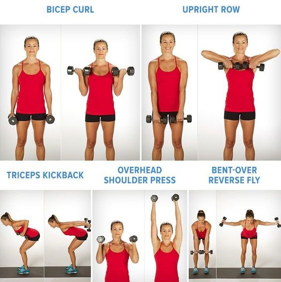 examples of the following exercises: bicep curl, upright row, triceps kickback, overhead shoulder press, bent over reverse fly