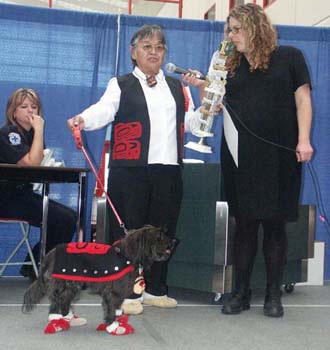 2004 - CNC SPCA Doggie Fashion Show