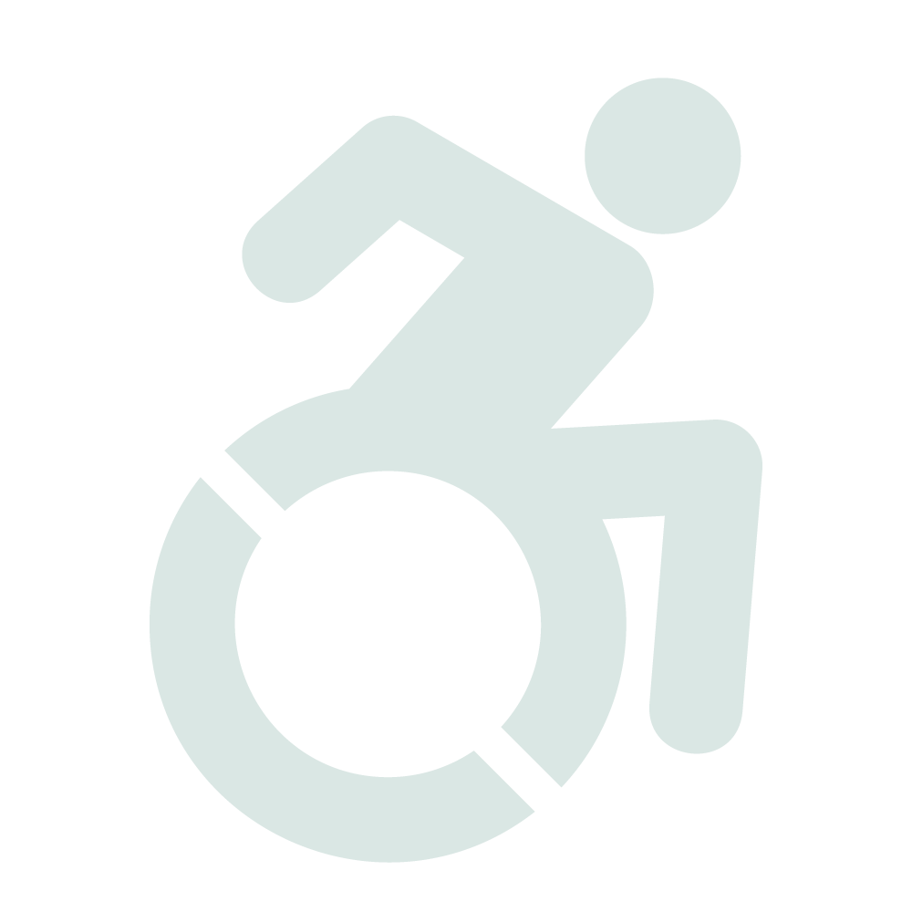 accessible-icon-light