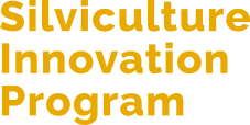 Silviculture Innovation Program