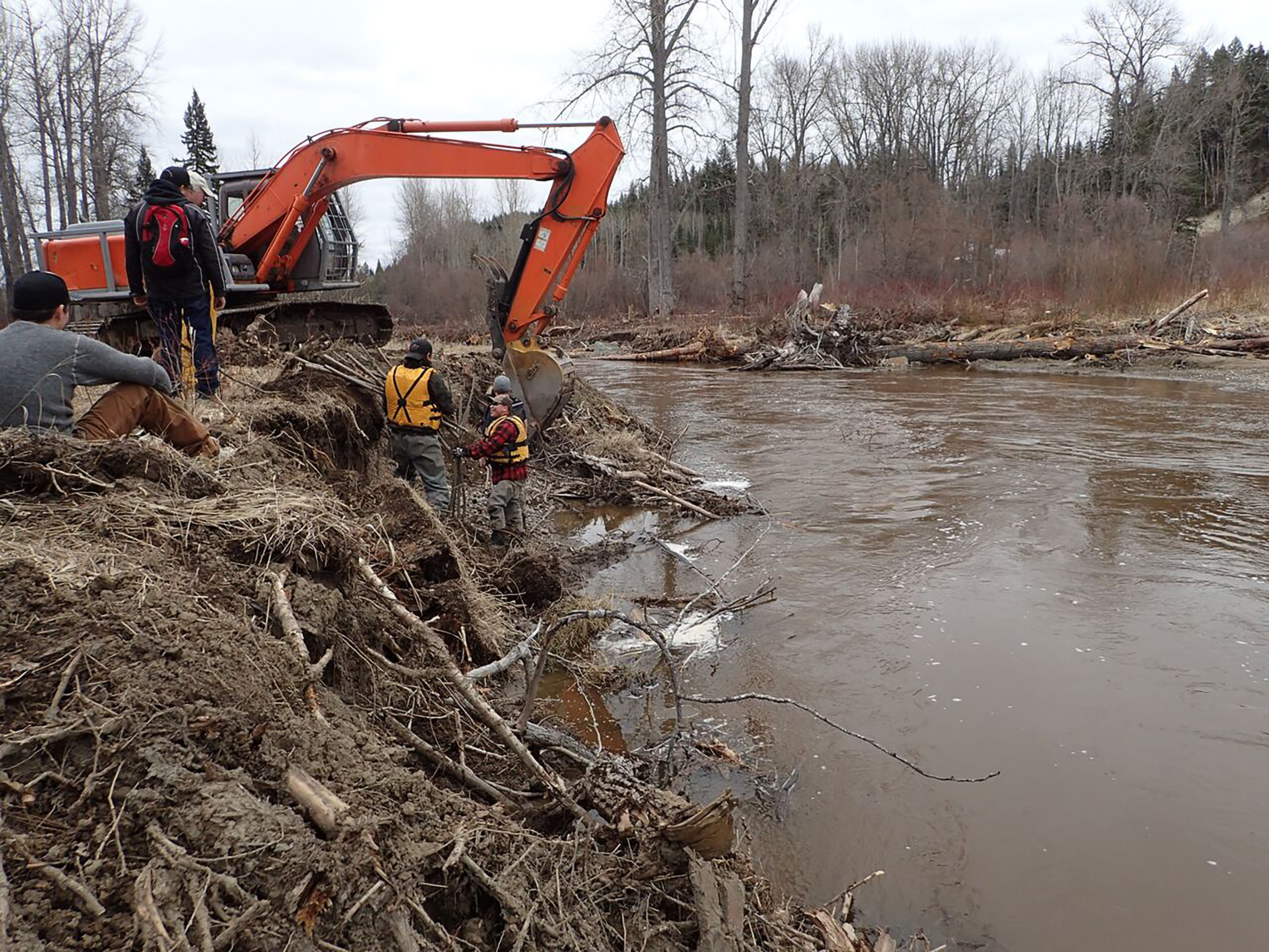 Chilako Restoration 2