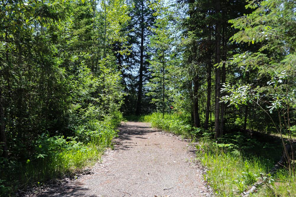 Quesnel Trail