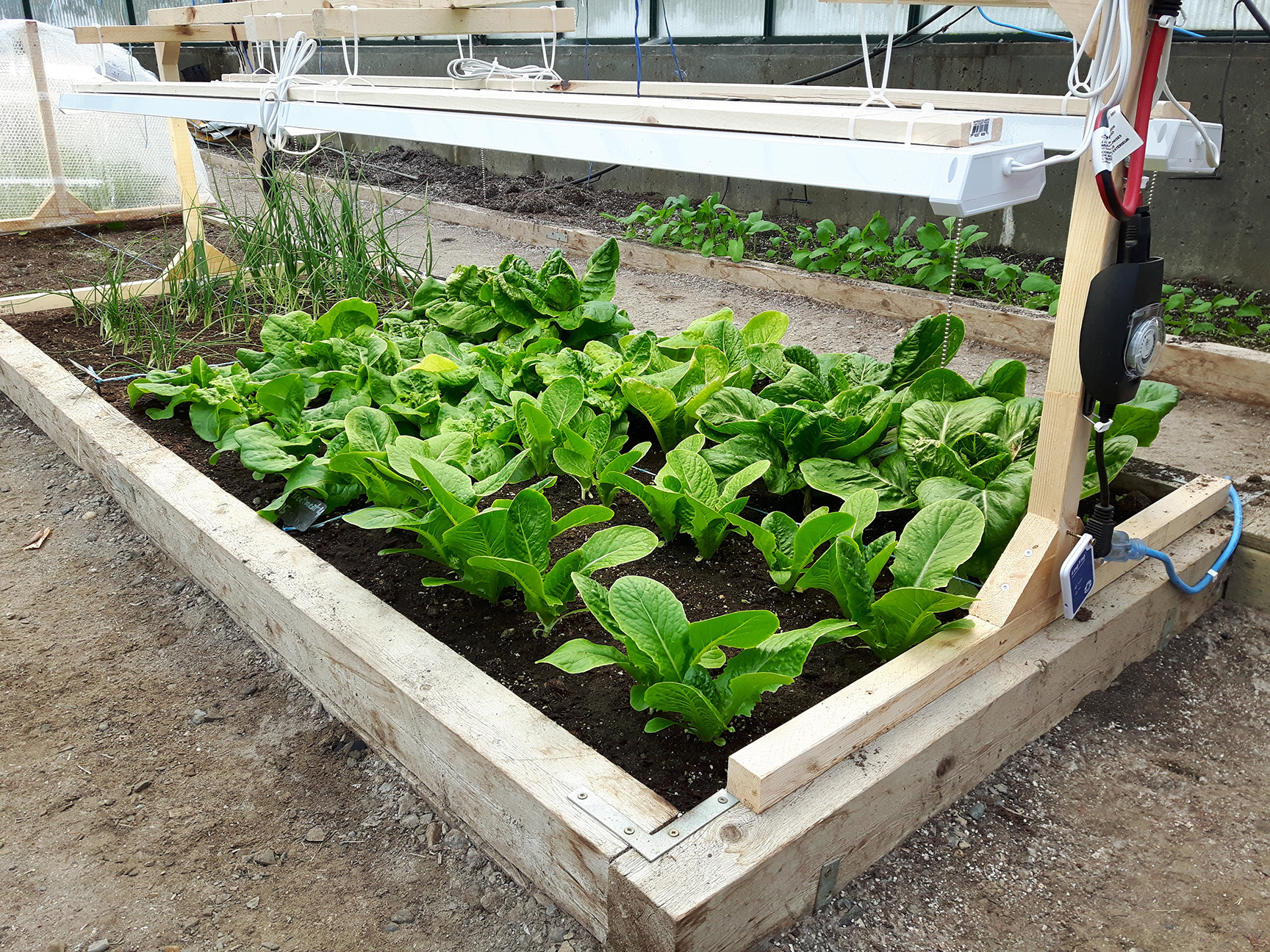 Extended Growing Season 2