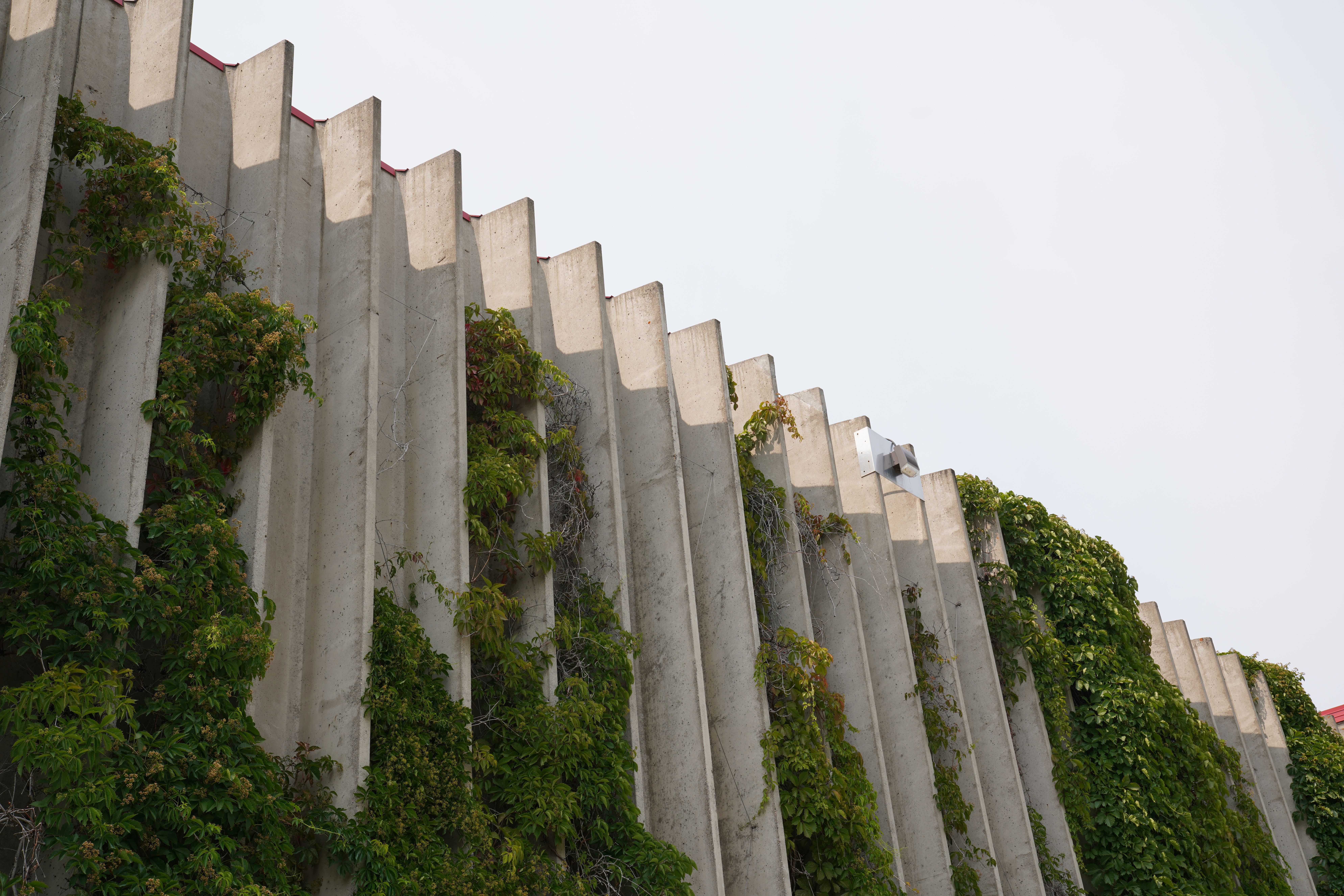 Ivy climbing CNC exterior