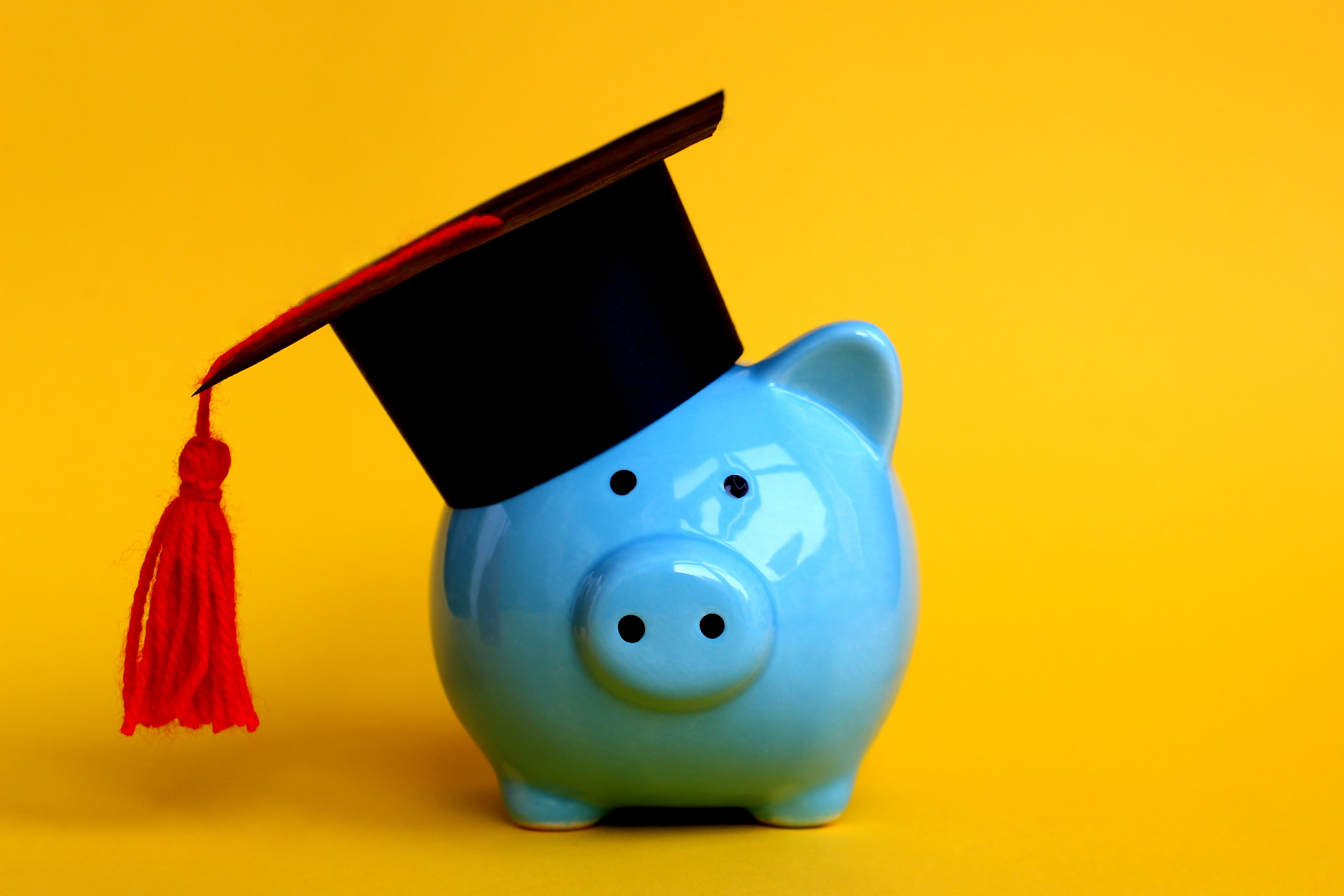 Blue piggy bank wearing graduation cap on yellow background