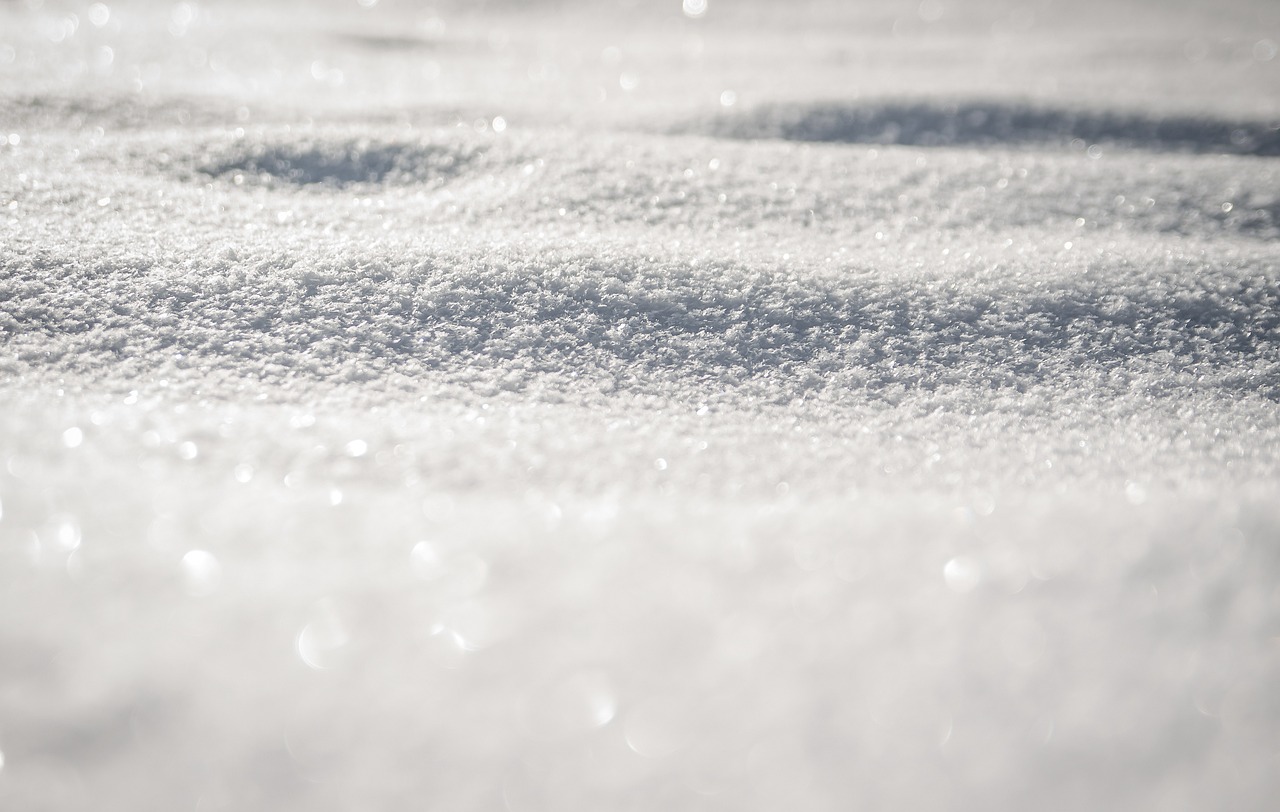 Close-up of fresh snow on ground