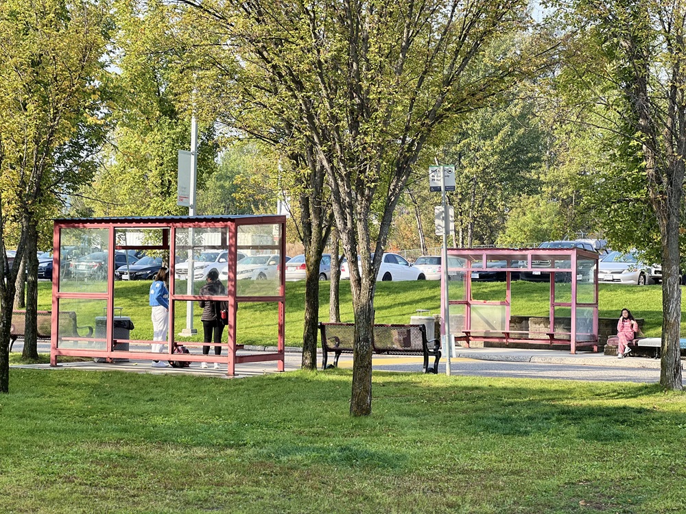 Existing transit shelters on the CNC  either side of Nicholson St.