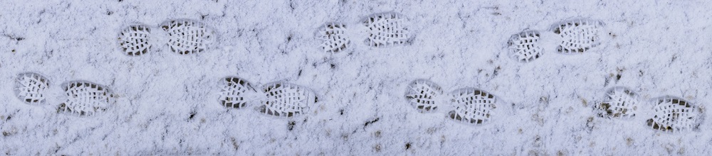 Footprints in the snow