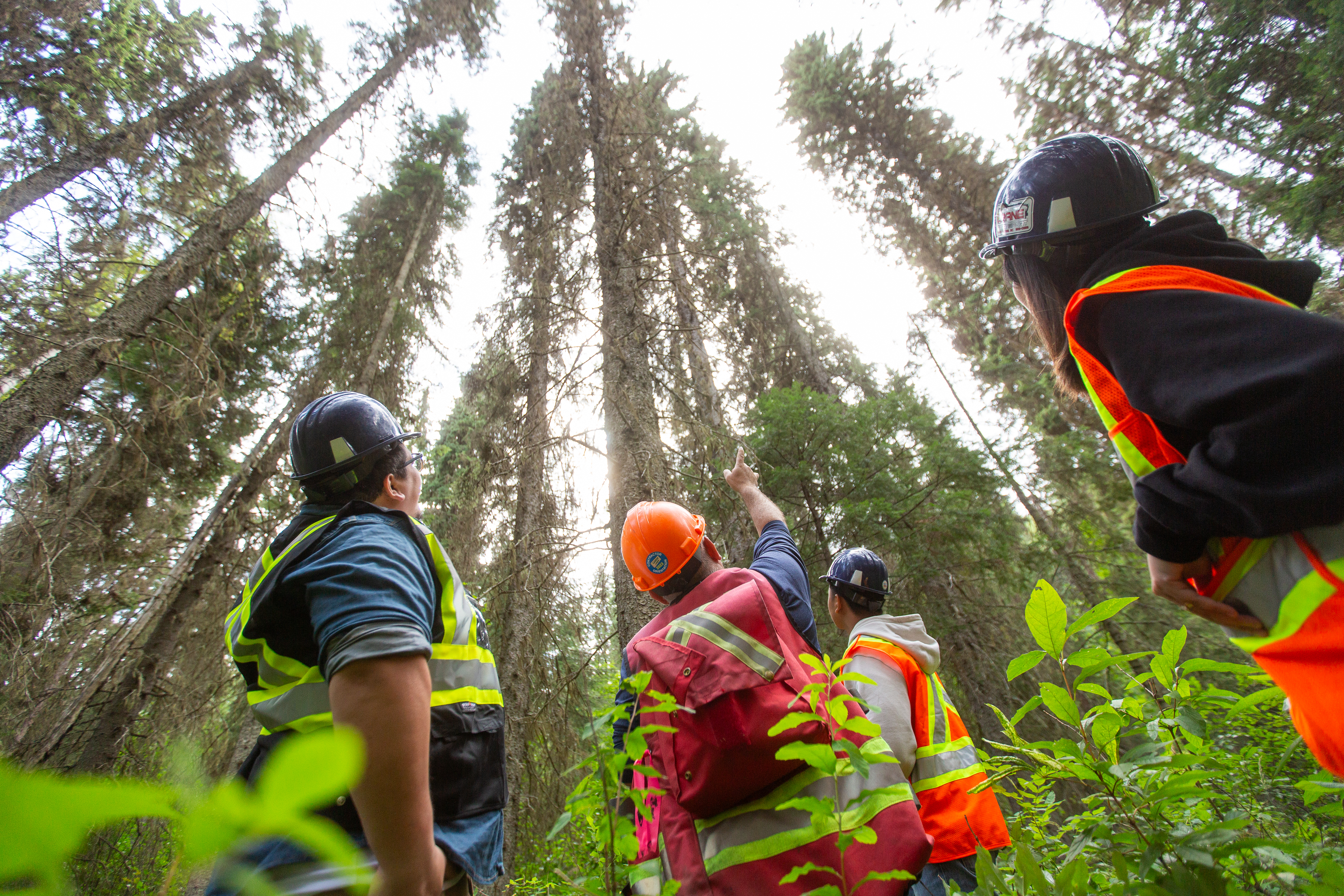 Natural_Resources_Forest_Technology-Prince_George-4493