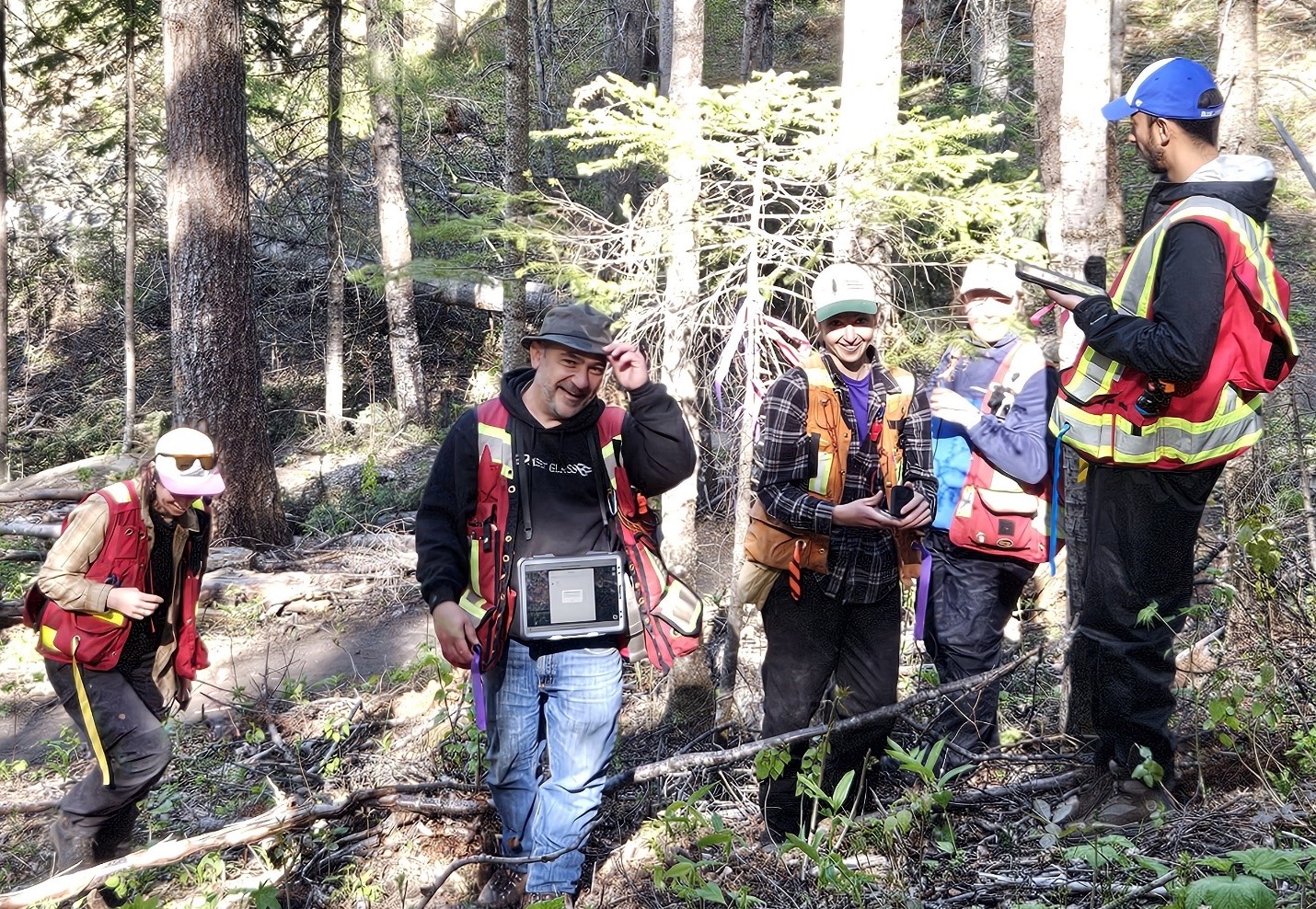 Pidherny Wildfire Risk Reduction Species Conversion & Monitoring